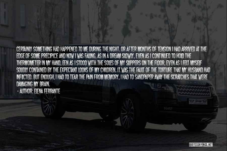 Elena Ferrante Quotes: Certainly Something Had Happened To Me During The Night. Or After Months Of Tension I Had Arrived At The Edge