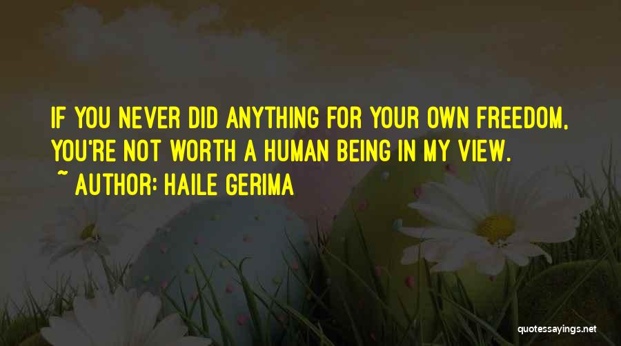 Haile Gerima Quotes: If You Never Did Anything For Your Own Freedom, You're Not Worth A Human Being In My View.