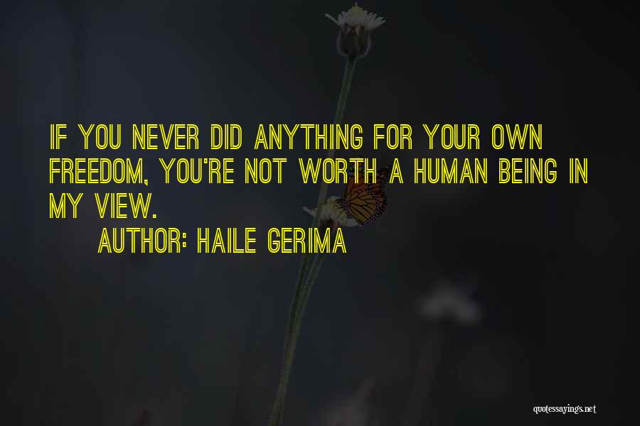 Haile Gerima Quotes: If You Never Did Anything For Your Own Freedom, You're Not Worth A Human Being In My View.