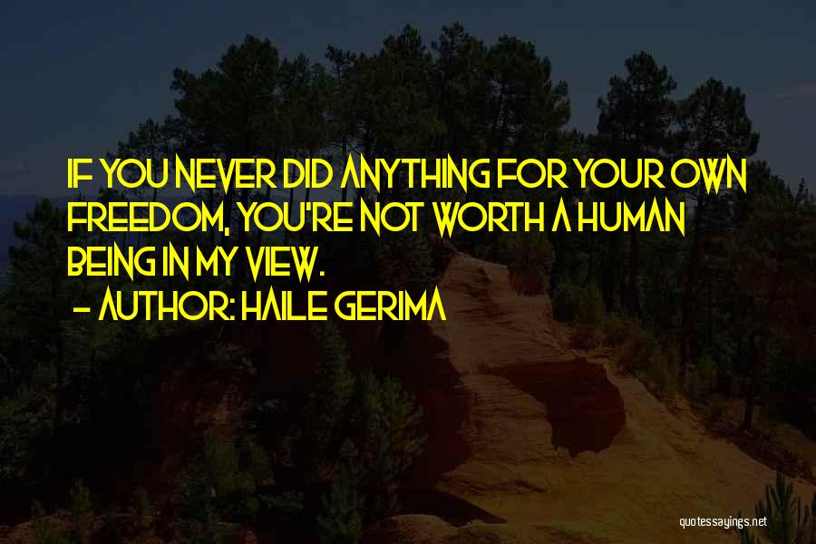 Haile Gerima Quotes: If You Never Did Anything For Your Own Freedom, You're Not Worth A Human Being In My View.