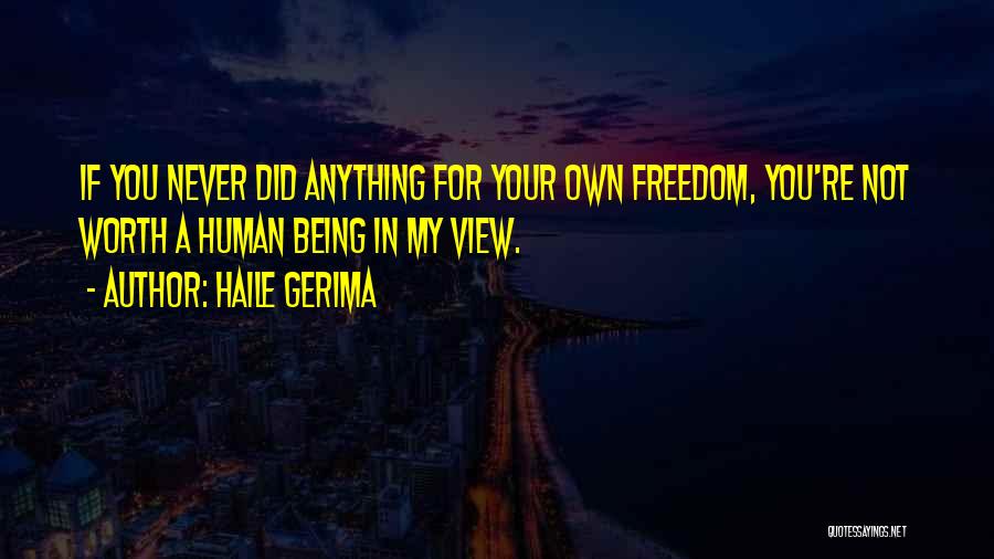 Haile Gerima Quotes: If You Never Did Anything For Your Own Freedom, You're Not Worth A Human Being In My View.