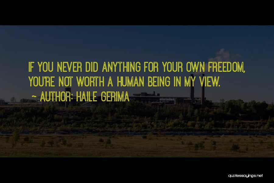 Haile Gerima Quotes: If You Never Did Anything For Your Own Freedom, You're Not Worth A Human Being In My View.