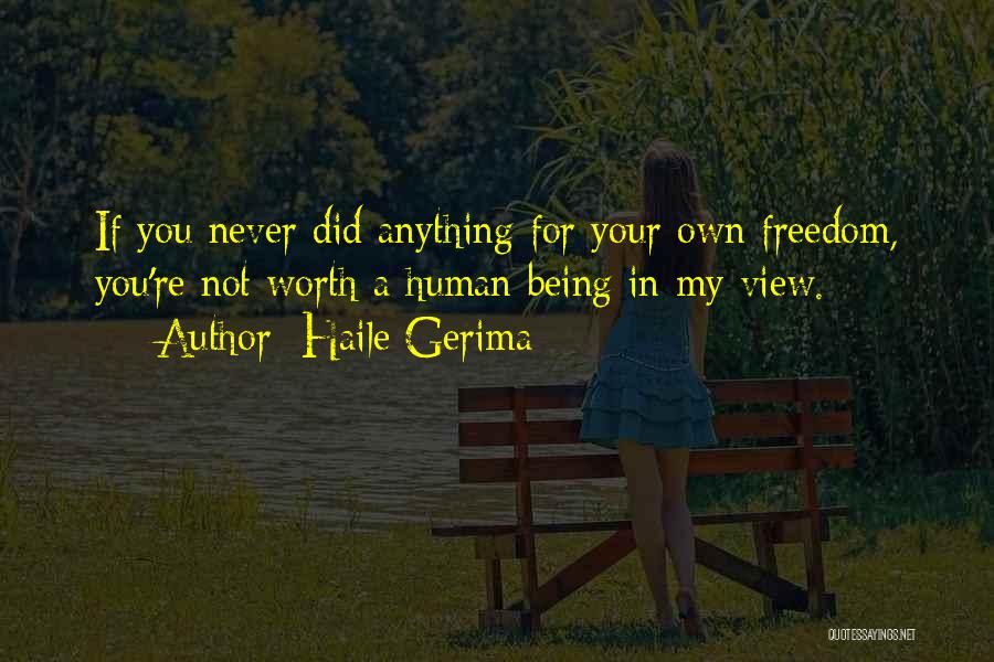 Haile Gerima Quotes: If You Never Did Anything For Your Own Freedom, You're Not Worth A Human Being In My View.