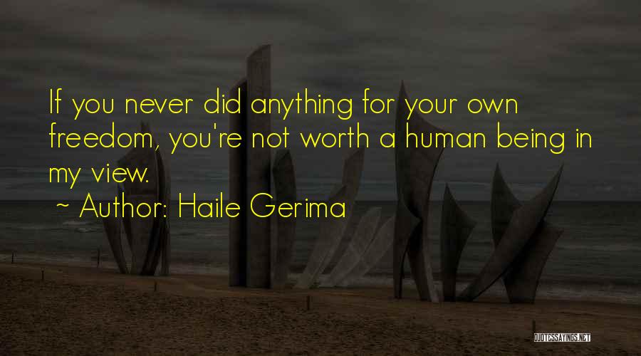 Haile Gerima Quotes: If You Never Did Anything For Your Own Freedom, You're Not Worth A Human Being In My View.