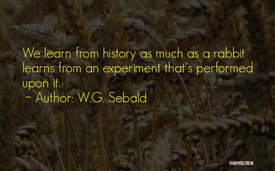 W.G. Sebald Quotes: We Learn From History As Much As A Rabbit Learns From An Experiment That's Performed Upon It.