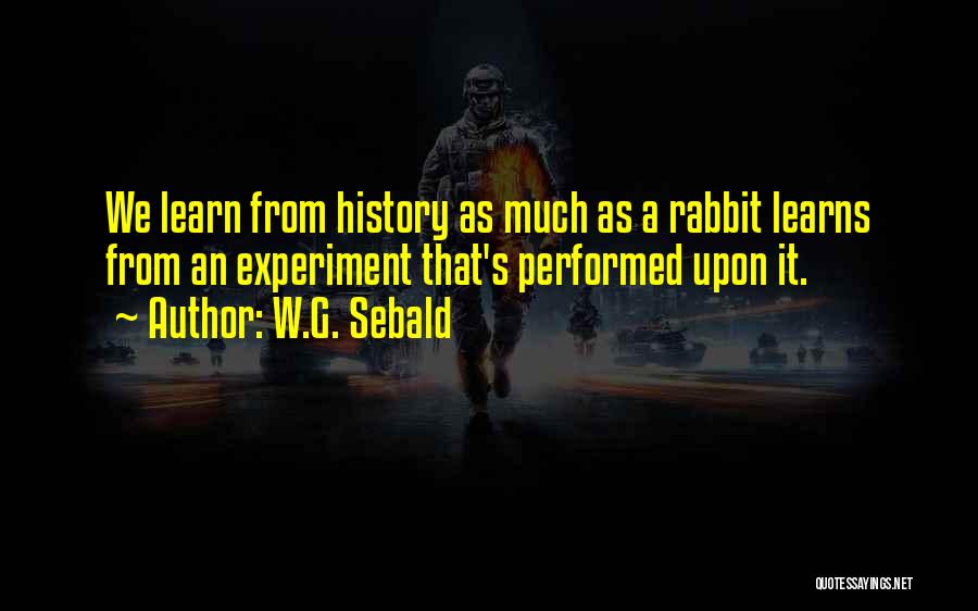 W.G. Sebald Quotes: We Learn From History As Much As A Rabbit Learns From An Experiment That's Performed Upon It.