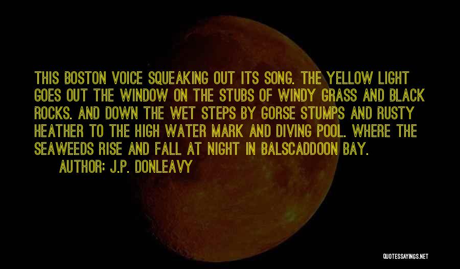 J.P. Donleavy Quotes: This Boston Voice Squeaking Out Its Song. The Yellow Light Goes Out The Window On The Stubs Of Windy Grass