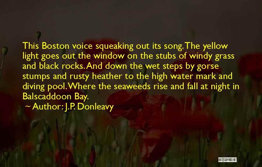 J.P. Donleavy Quotes: This Boston Voice Squeaking Out Its Song. The Yellow Light Goes Out The Window On The Stubs Of Windy Grass