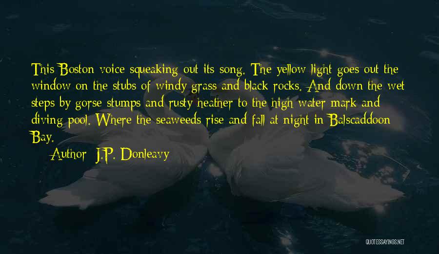 J.P. Donleavy Quotes: This Boston Voice Squeaking Out Its Song. The Yellow Light Goes Out The Window On The Stubs Of Windy Grass