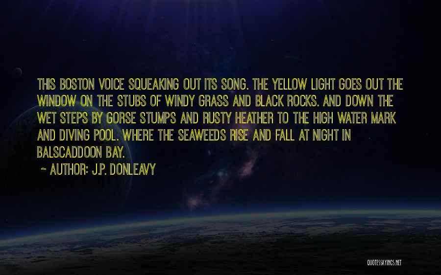 J.P. Donleavy Quotes: This Boston Voice Squeaking Out Its Song. The Yellow Light Goes Out The Window On The Stubs Of Windy Grass