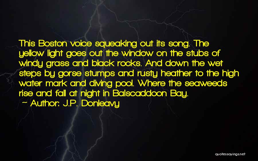 J.P. Donleavy Quotes: This Boston Voice Squeaking Out Its Song. The Yellow Light Goes Out The Window On The Stubs Of Windy Grass