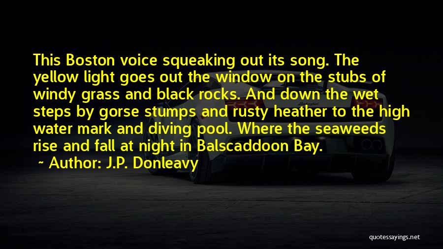 J.P. Donleavy Quotes: This Boston Voice Squeaking Out Its Song. The Yellow Light Goes Out The Window On The Stubs Of Windy Grass