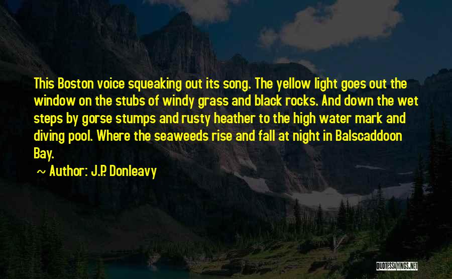 J.P. Donleavy Quotes: This Boston Voice Squeaking Out Its Song. The Yellow Light Goes Out The Window On The Stubs Of Windy Grass