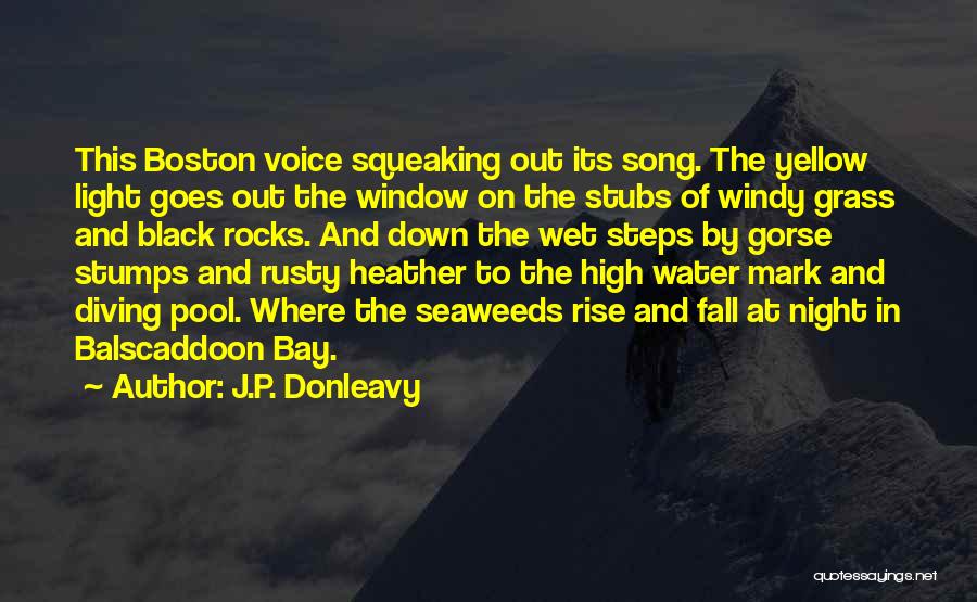 J.P. Donleavy Quotes: This Boston Voice Squeaking Out Its Song. The Yellow Light Goes Out The Window On The Stubs Of Windy Grass