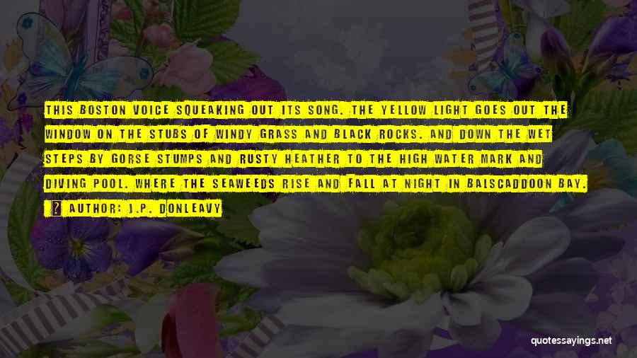 J.P. Donleavy Quotes: This Boston Voice Squeaking Out Its Song. The Yellow Light Goes Out The Window On The Stubs Of Windy Grass