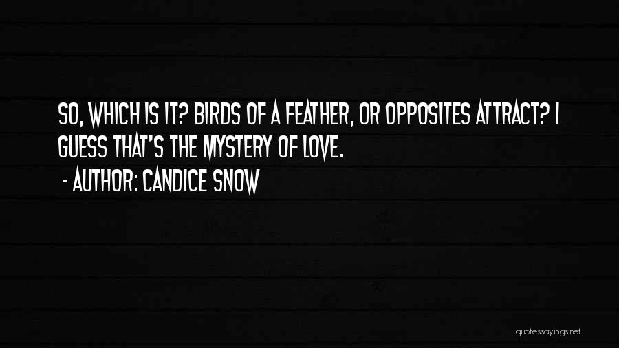 Candice Snow Quotes: So, Which Is It? Birds Of A Feather, Or Opposites Attract? I Guess That's The Mystery Of Love.