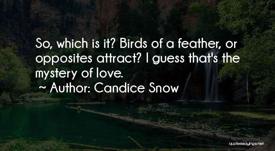 Candice Snow Quotes: So, Which Is It? Birds Of A Feather, Or Opposites Attract? I Guess That's The Mystery Of Love.