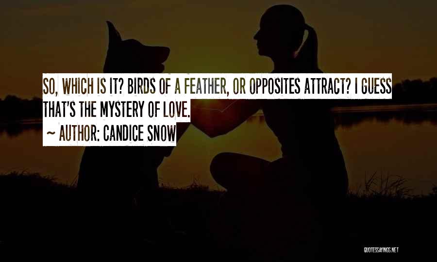 Candice Snow Quotes: So, Which Is It? Birds Of A Feather, Or Opposites Attract? I Guess That's The Mystery Of Love.