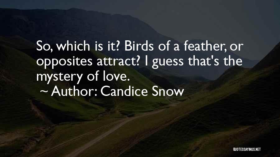 Candice Snow Quotes: So, Which Is It? Birds Of A Feather, Or Opposites Attract? I Guess That's The Mystery Of Love.