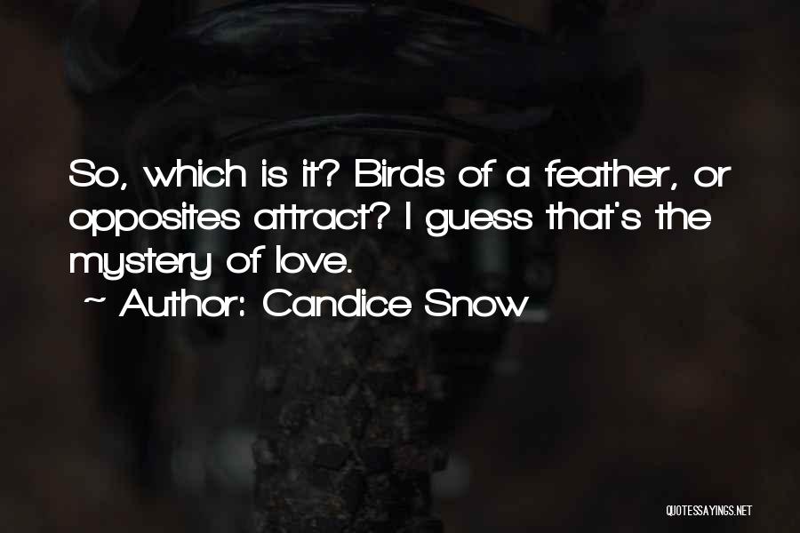 Candice Snow Quotes: So, Which Is It? Birds Of A Feather, Or Opposites Attract? I Guess That's The Mystery Of Love.