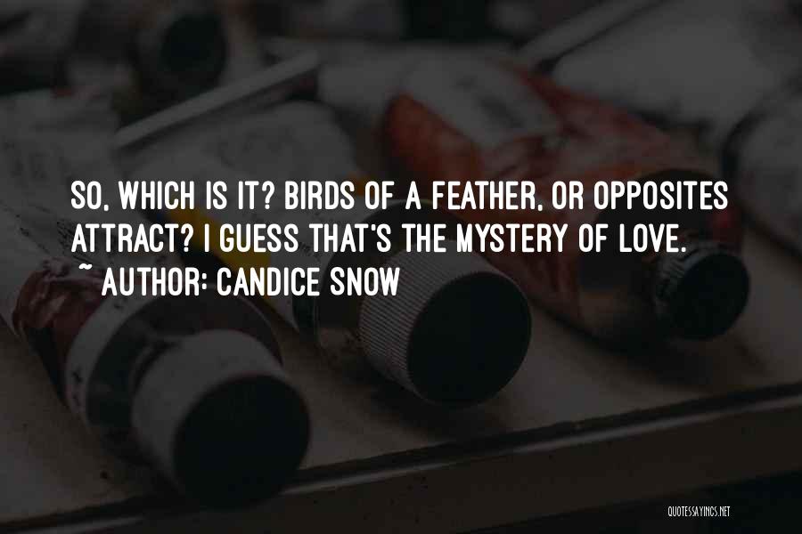 Candice Snow Quotes: So, Which Is It? Birds Of A Feather, Or Opposites Attract? I Guess That's The Mystery Of Love.