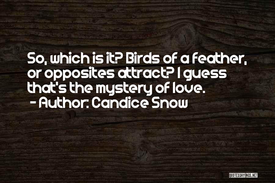Candice Snow Quotes: So, Which Is It? Birds Of A Feather, Or Opposites Attract? I Guess That's The Mystery Of Love.