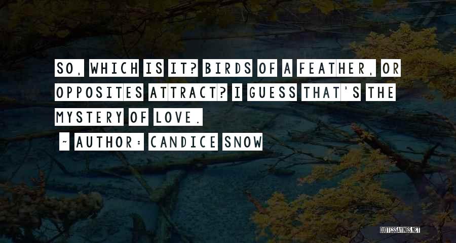 Candice Snow Quotes: So, Which Is It? Birds Of A Feather, Or Opposites Attract? I Guess That's The Mystery Of Love.