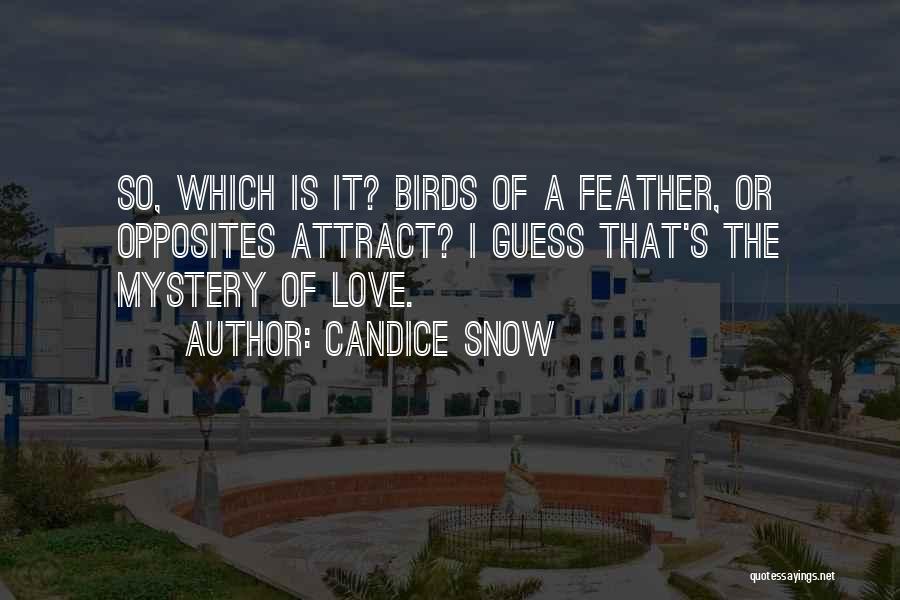 Candice Snow Quotes: So, Which Is It? Birds Of A Feather, Or Opposites Attract? I Guess That's The Mystery Of Love.