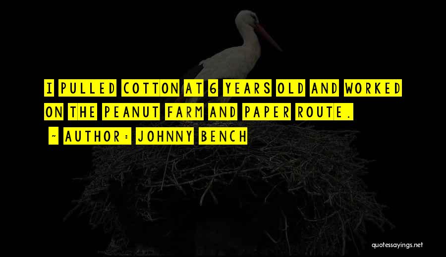 Johnny Bench Quotes: I Pulled Cotton At 6 Years Old And Worked On The Peanut Farm And Paper Route.