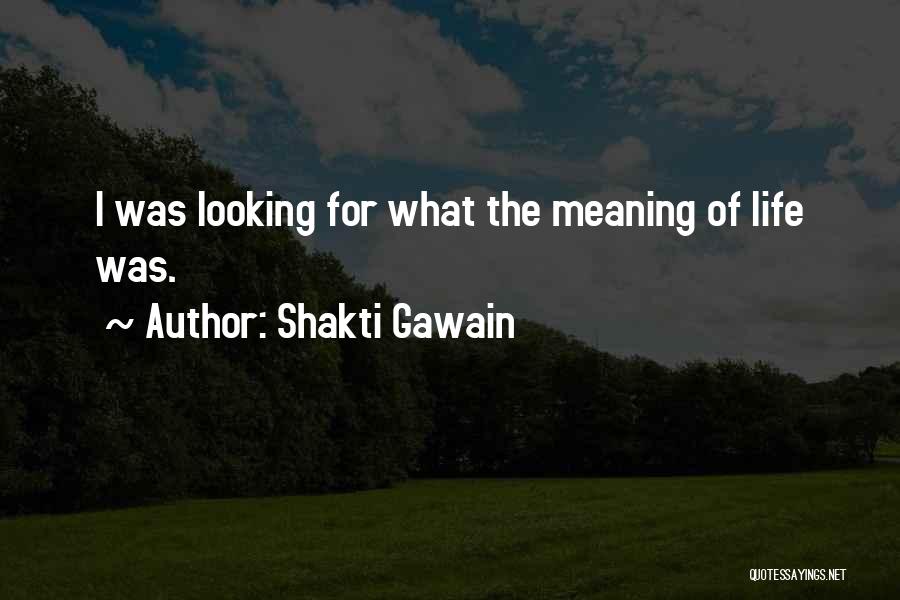 Shakti Gawain Quotes: I Was Looking For What The Meaning Of Life Was.