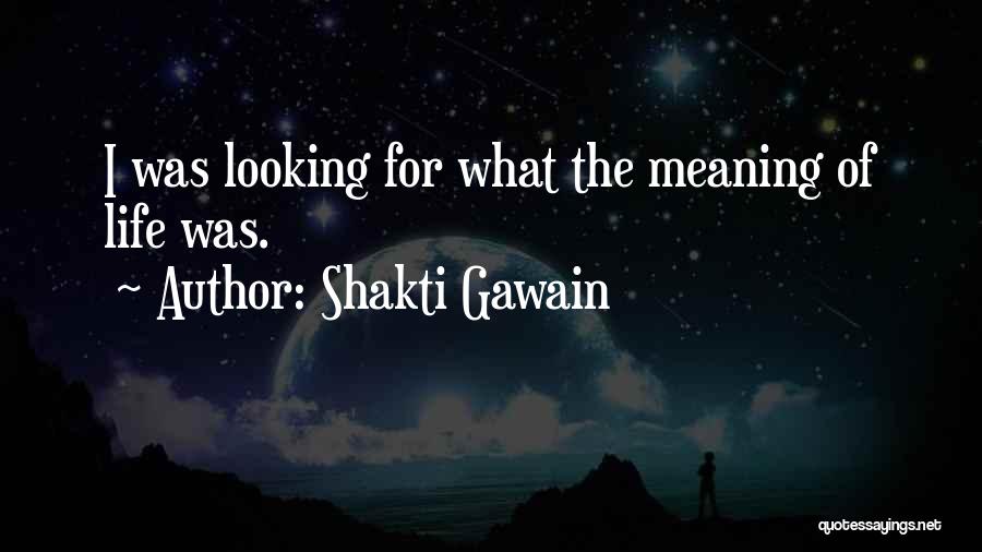 Shakti Gawain Quotes: I Was Looking For What The Meaning Of Life Was.