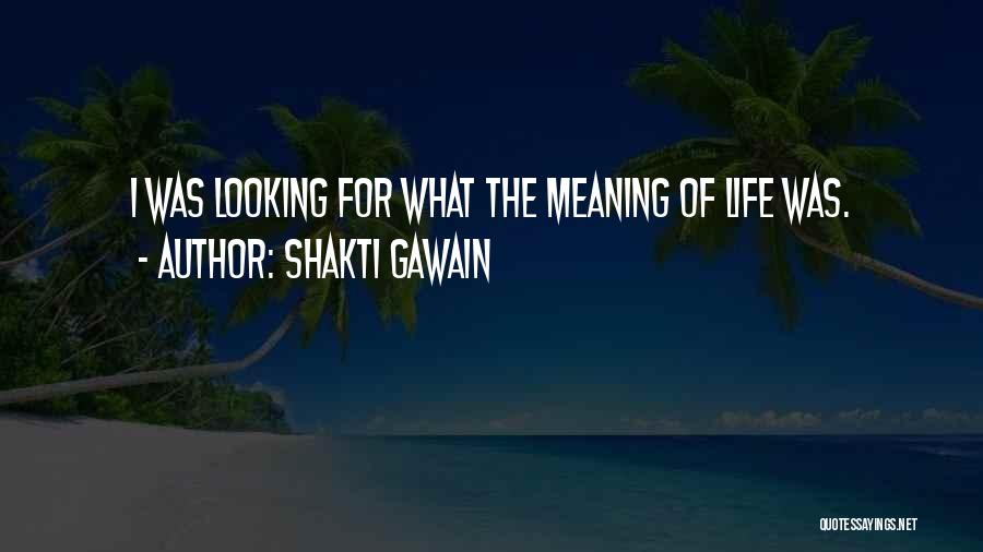 Shakti Gawain Quotes: I Was Looking For What The Meaning Of Life Was.