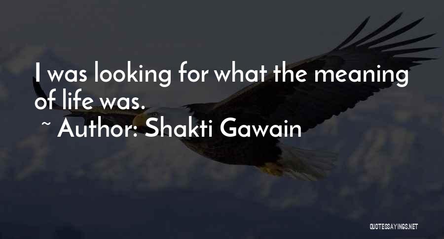 Shakti Gawain Quotes: I Was Looking For What The Meaning Of Life Was.