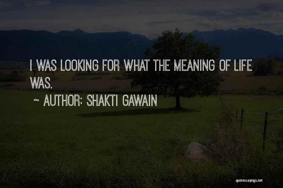 Shakti Gawain Quotes: I Was Looking For What The Meaning Of Life Was.