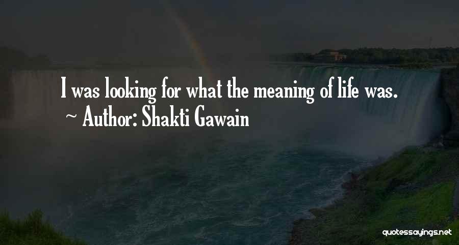 Shakti Gawain Quotes: I Was Looking For What The Meaning Of Life Was.