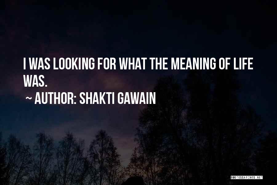 Shakti Gawain Quotes: I Was Looking For What The Meaning Of Life Was.