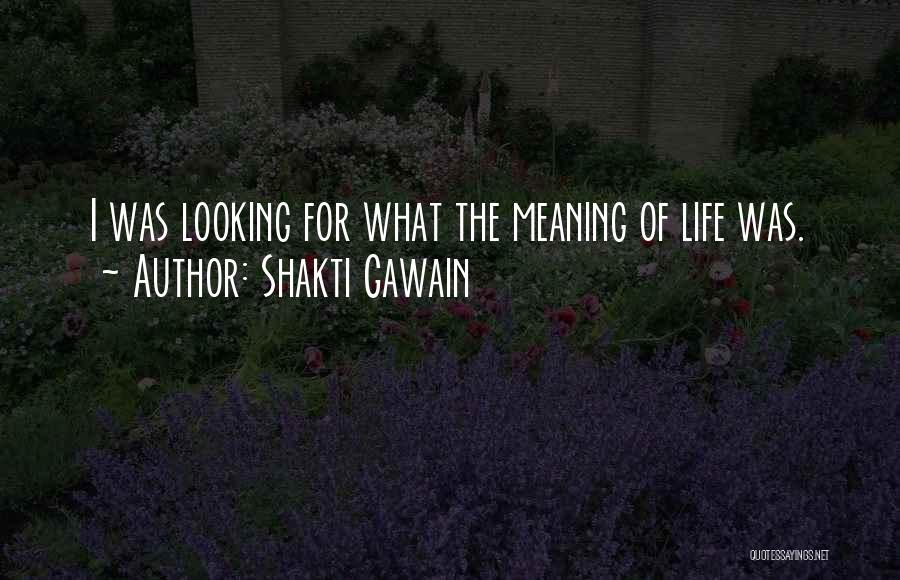 Shakti Gawain Quotes: I Was Looking For What The Meaning Of Life Was.