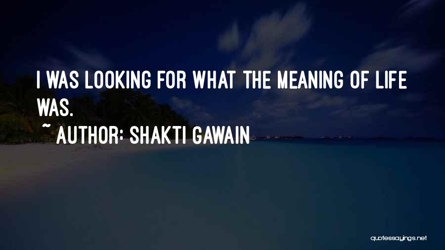 Shakti Gawain Quotes: I Was Looking For What The Meaning Of Life Was.