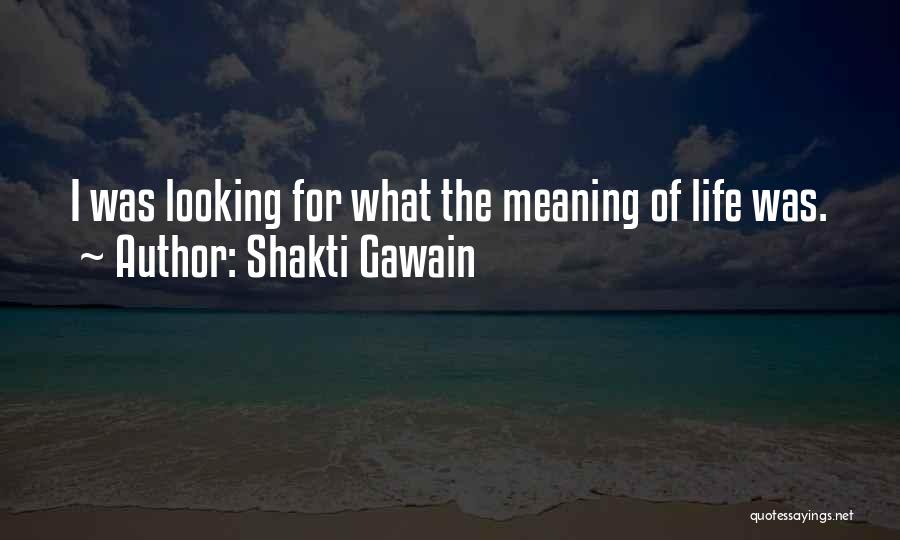 Shakti Gawain Quotes: I Was Looking For What The Meaning Of Life Was.