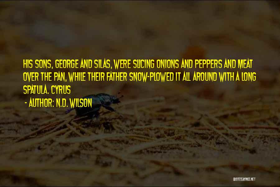 N.D. Wilson Quotes: His Sons, George And Silas, Were Slicing Onions And Peppers And Meat Over The Pan, While Their Father Snow-plowed It