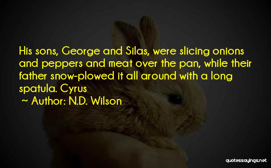 N.D. Wilson Quotes: His Sons, George And Silas, Were Slicing Onions And Peppers And Meat Over The Pan, While Their Father Snow-plowed It