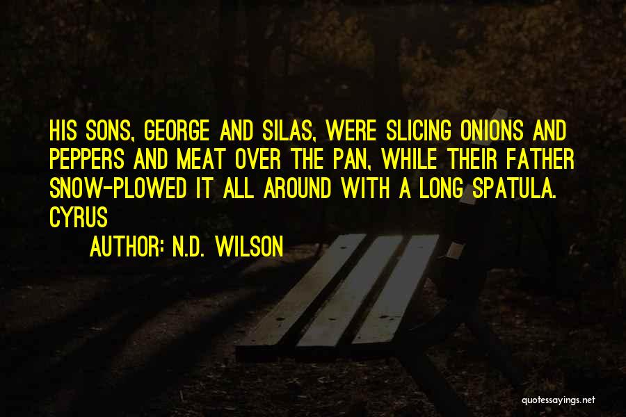 N.D. Wilson Quotes: His Sons, George And Silas, Were Slicing Onions And Peppers And Meat Over The Pan, While Their Father Snow-plowed It