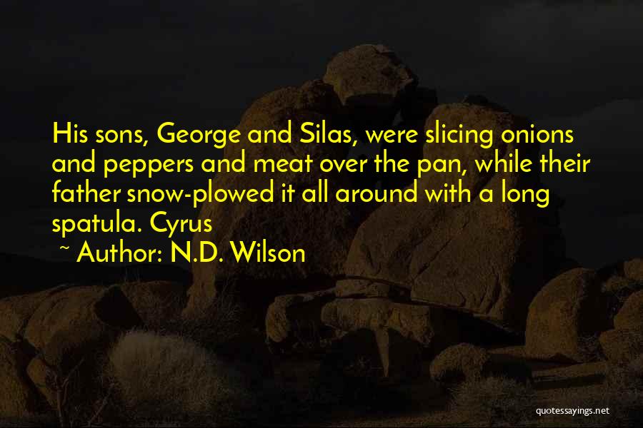 N.D. Wilson Quotes: His Sons, George And Silas, Were Slicing Onions And Peppers And Meat Over The Pan, While Their Father Snow-plowed It