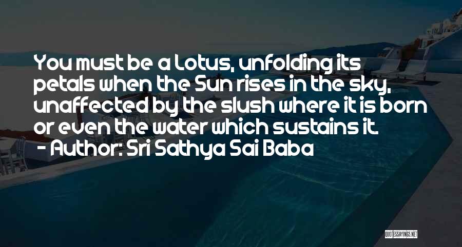 Sri Sathya Sai Baba Quotes: You Must Be A Lotus, Unfolding Its Petals When The Sun Rises In The Sky, Unaffected By The Slush Where