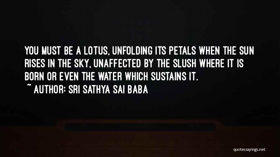 Sri Sathya Sai Baba Quotes: You Must Be A Lotus, Unfolding Its Petals When The Sun Rises In The Sky, Unaffected By The Slush Where