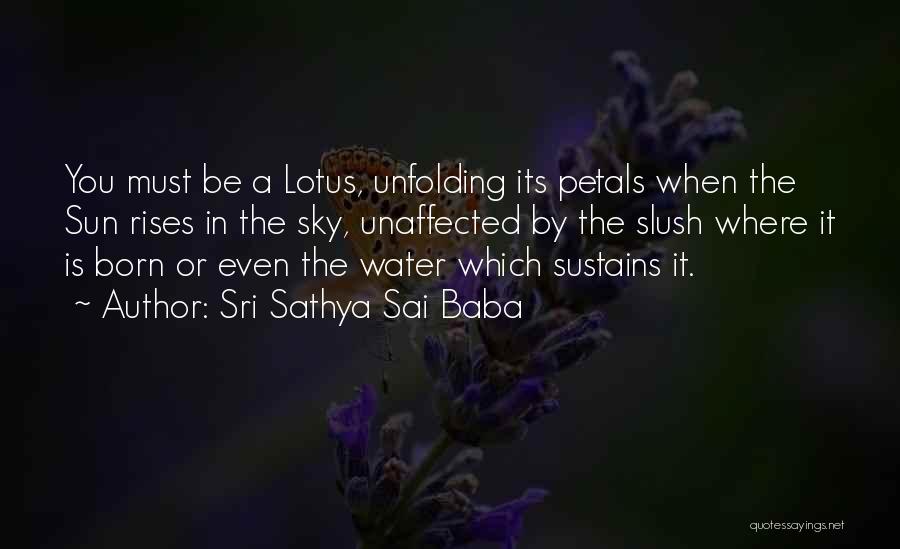 Sri Sathya Sai Baba Quotes: You Must Be A Lotus, Unfolding Its Petals When The Sun Rises In The Sky, Unaffected By The Slush Where