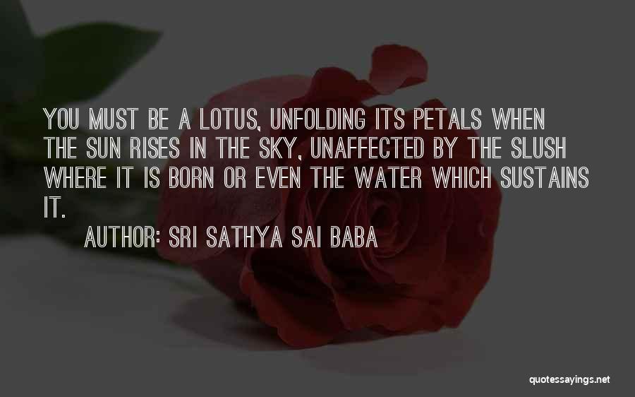 Sri Sathya Sai Baba Quotes: You Must Be A Lotus, Unfolding Its Petals When The Sun Rises In The Sky, Unaffected By The Slush Where