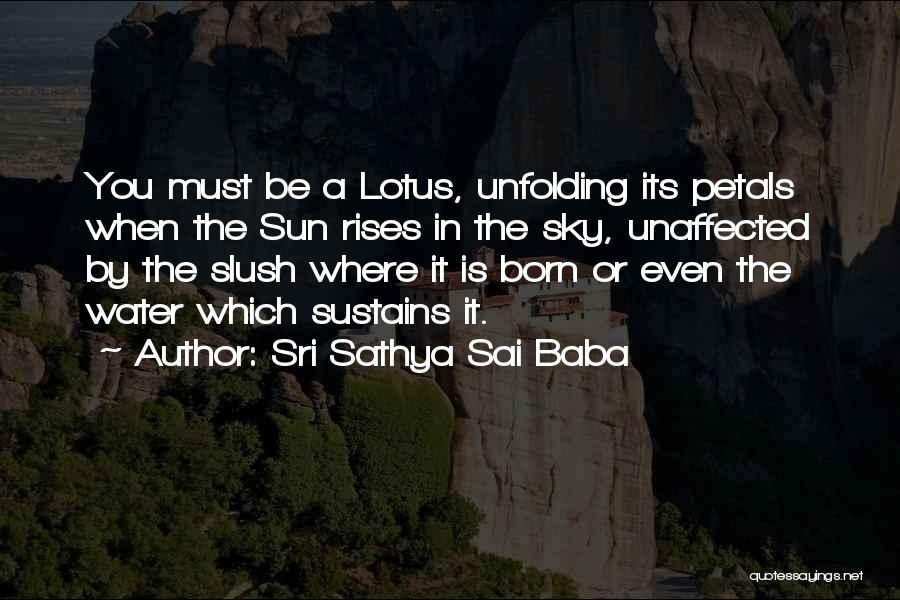 Sri Sathya Sai Baba Quotes: You Must Be A Lotus, Unfolding Its Petals When The Sun Rises In The Sky, Unaffected By The Slush Where