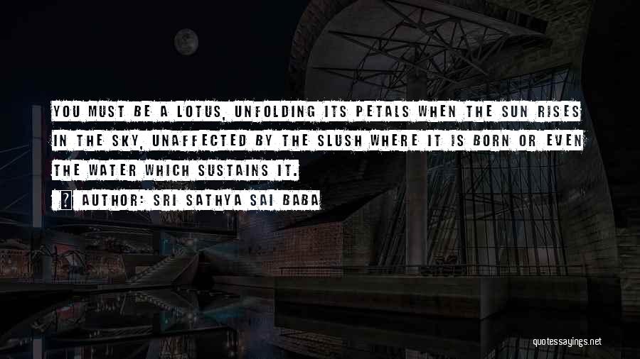 Sri Sathya Sai Baba Quotes: You Must Be A Lotus, Unfolding Its Petals When The Sun Rises In The Sky, Unaffected By The Slush Where