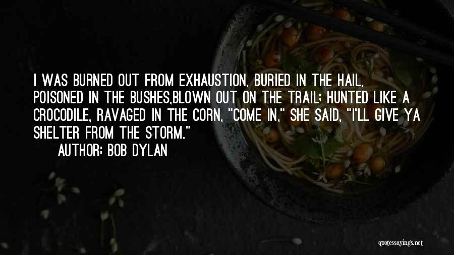 Bob Dylan Quotes: I Was Burned Out From Exhaustion, Buried In The Hail, Poisoned In The Bushes,blown Out On The Trail; Hunted Like
